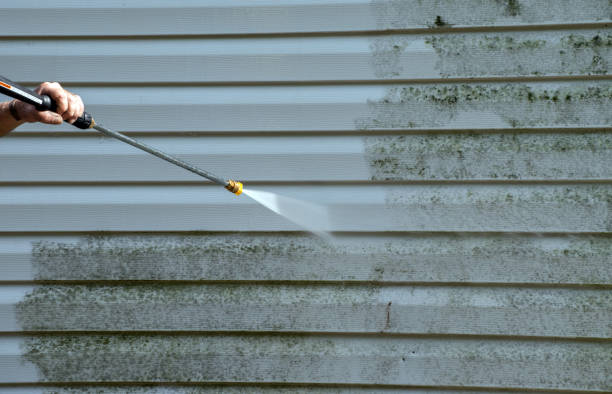 Best Eco-Friendly Pressure Washing in Mims, FL